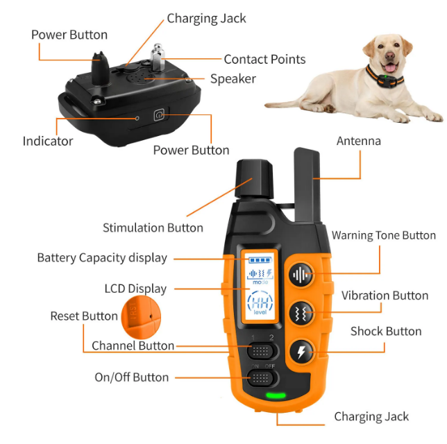 Remote Dog Training Shock Collar 1000m 1-2 Dogs RS2