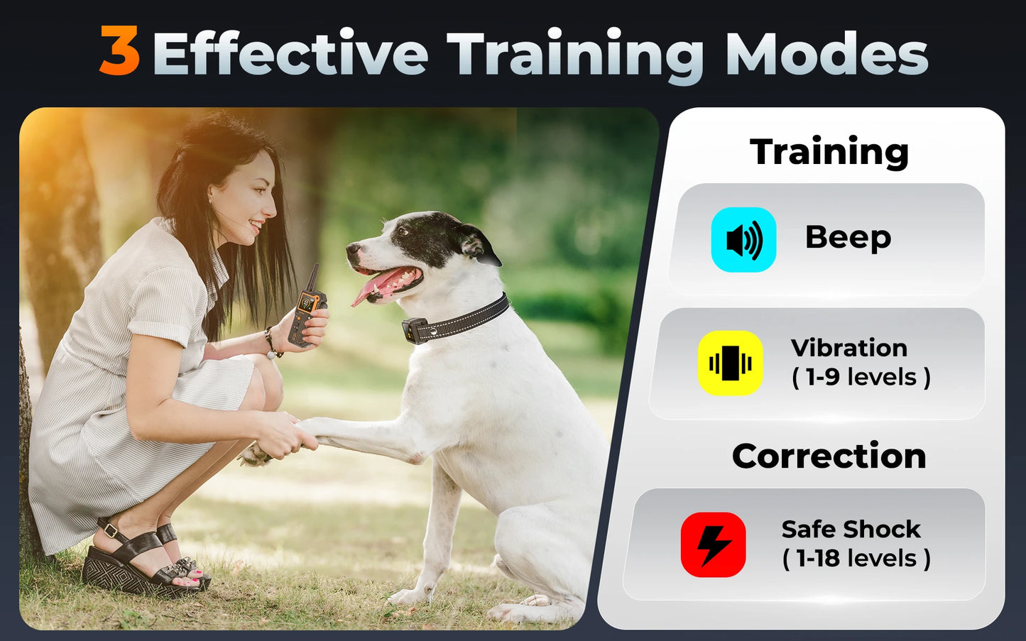 PETRAINER® CP69 Remote Dog Training E-Collar 1000m 1-2 Dogs
