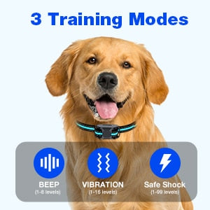 Remote Dog Training Shock Collar 1000m 1-2 Dogs RS2