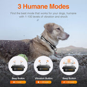 Remote Dog Training Shock Collar 1000m 1-2 Dogs PD529