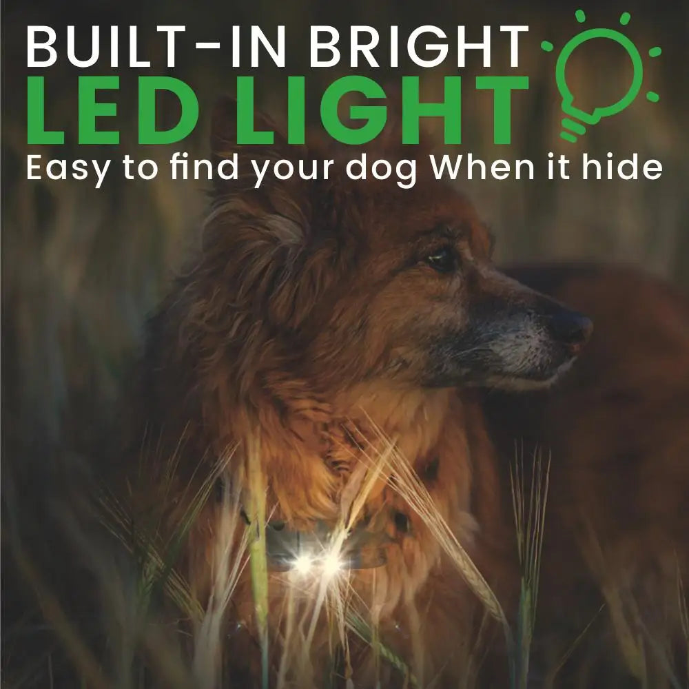 PETRAINER® PET776 Remote Dog Training E-Collar 800m 1-3 Dogs