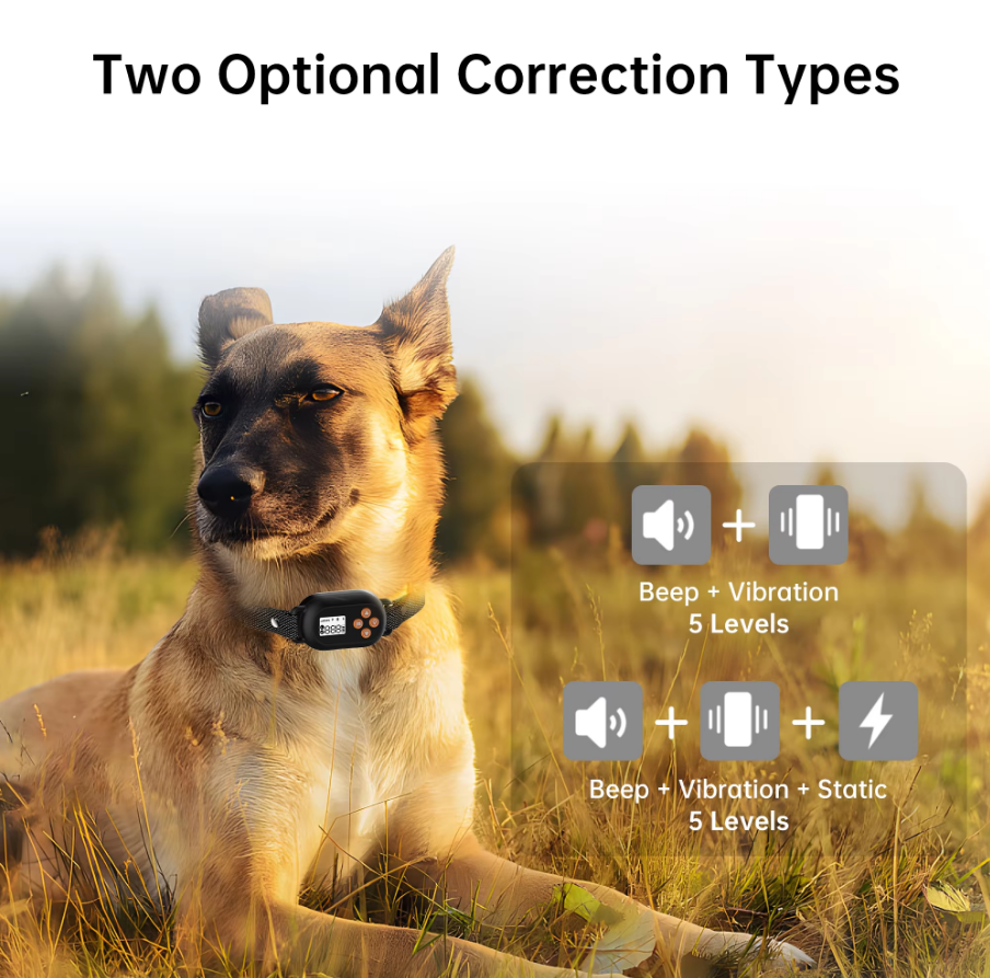 F820 GPS Wireless Dog Fence Collar optional corrections