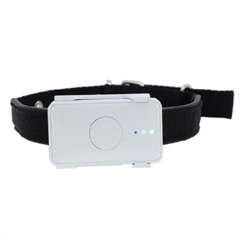 4G LTE Pet GPS Tracker for Dogs BARKAHOLICS® BH105