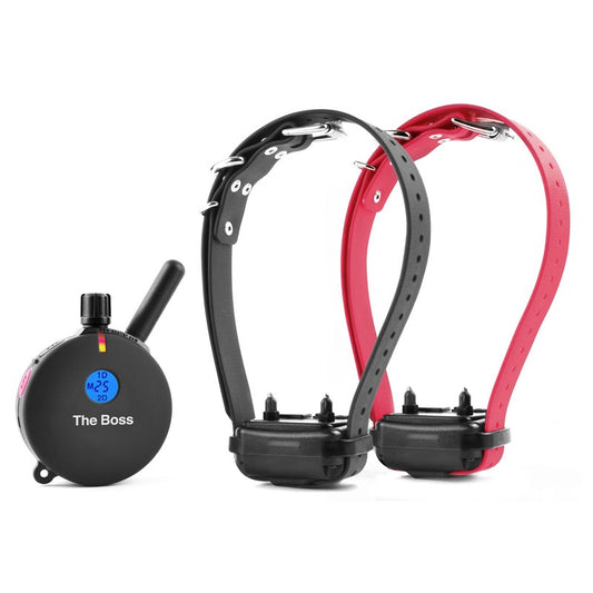 ET-800 "BOSS" EDUCATOR® 1610m Remote E-Collar 2 Dogs
