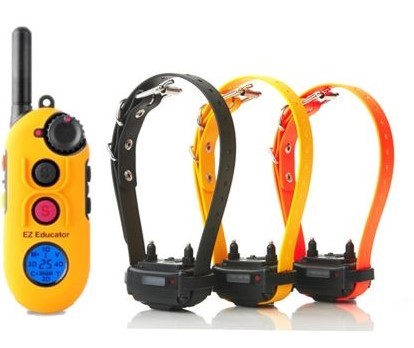 Easy EDUCATOR® Remote E-Collar 800m 1-4 Dogs EZ-900