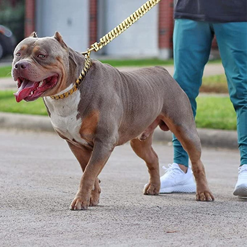 32mm Stainless Steel Cuban Link Dog Collar